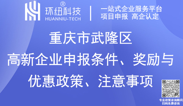 武隆區(qū)高新企業(yè)申報