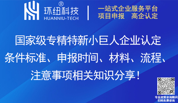 國家級專精特新小巨人企業(yè)認定